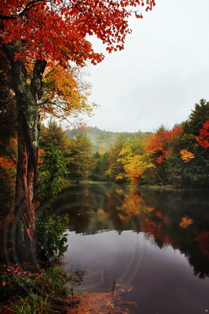 Lake Colors in Fall